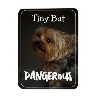 Imán Cute Customizable Personalized Terrier Dog Mom Pet