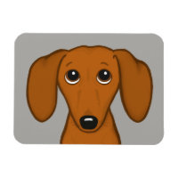 Cute Dachshund | Perro Personalizado Wiener