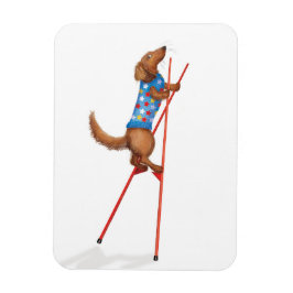 Imán Cute dachshund walking on stilts magnet