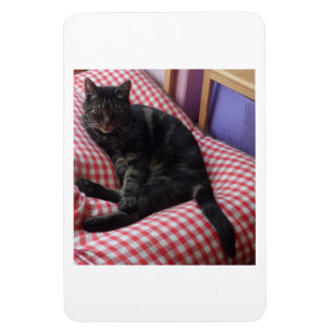 Imán Cute Dave Flexible Photo Magnet