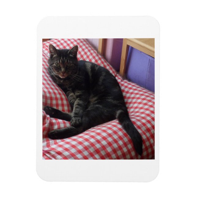 Imán Cute Dave Flexible Photo Magnet (Vertical)