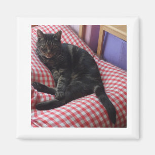 Imán Cute Dave Square Magnet