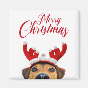 Imán Cute divertido perro de Navidad banda para la cabe