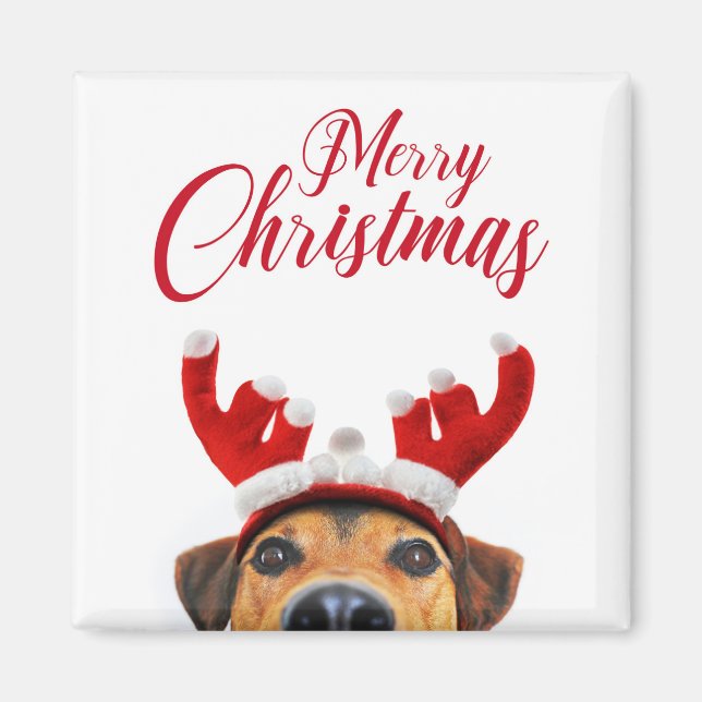 Imán Cute divertido perro de Navidad banda para la cabe (Frente)
