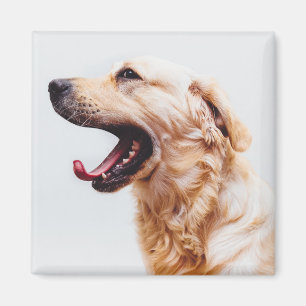Imán Cute Dog 6