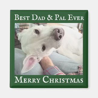 Imán Cute Dog Photo Best Dad Pal Green and White