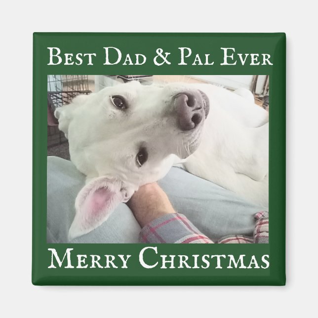 Imán Cute Dog Photo Best Dad Pal Green and White  (Frente)