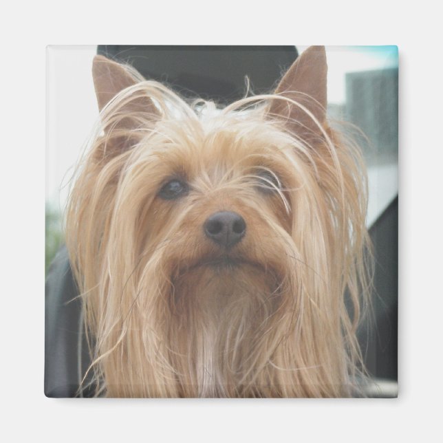 Imán Cute Doggie Magnet (Frente)