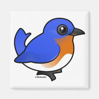Imán Cute Eastern Bluebird