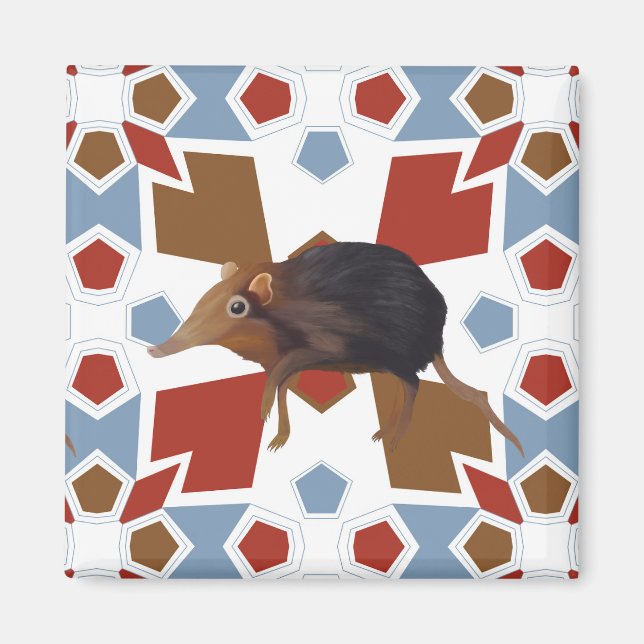 Imán Cute Elephant Shrew Fun Colorous Pattern (Frente)