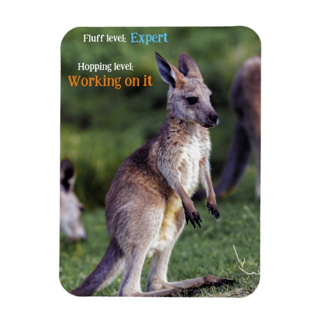 Imán Cute fluffy joey Kangaroo (Vertical)