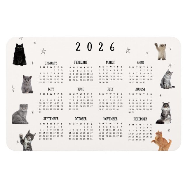 Imán Cute Funny Cat 2026 Calendar (Horizontal)