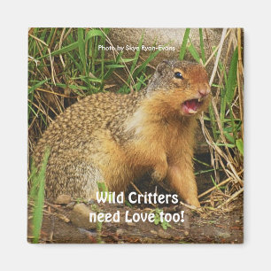 Imán Cute Gopher Prairie-dogs Wildlife Magnets
