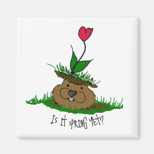 Imán Cute Groundhog busca primavera