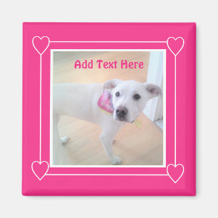 Imán Cute Hot Pink Sweet White Puppy Dog Magnet