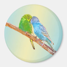 Cute kissing budgies -acrylic on pastel background