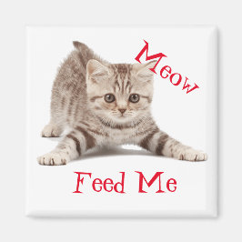 Imán Cute Kitten