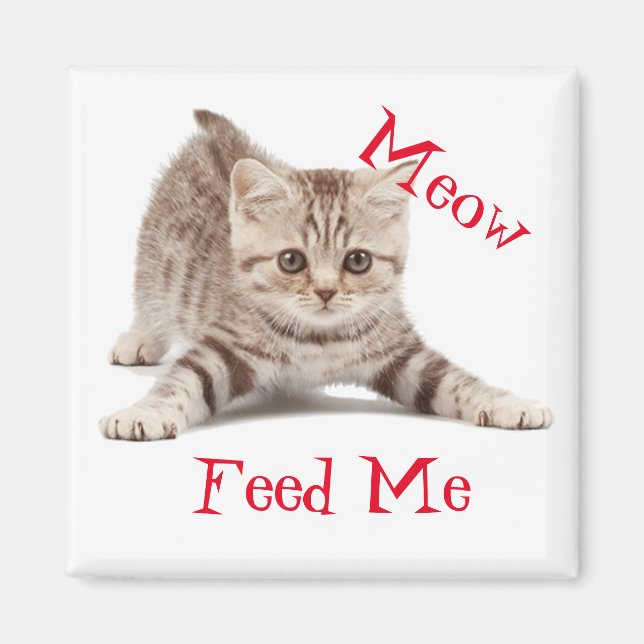 Imán Cute Kitten (Frente)