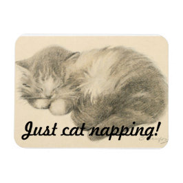 Imán Cute Kitty Napping Magnet