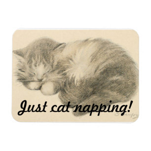 Imán Cute Kitty Napping Magnet