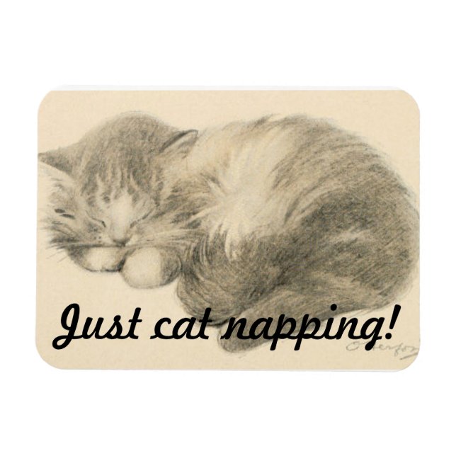 Imán Cute Kitty Napping Magnet (Horizontal)
