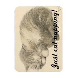 Imán Cute Kitty Napping Magnet