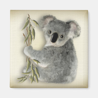 Imán Cute Koala