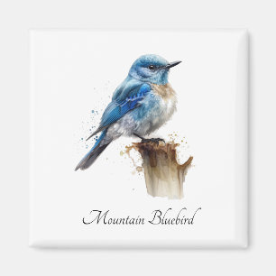 Imán Cute Little Mountain Bluebird Acuarela, personaliz