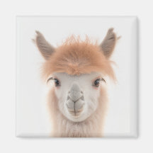 Cute Llama Magnet (Alpaca) | Recolectable