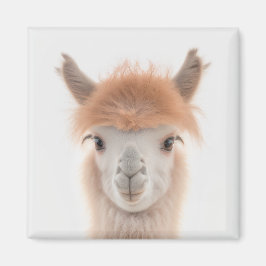 Imán Cute Llama Magnet (Alpaca) | Recolectable