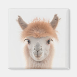 Imán Cute Llama Magnet (Alpaca) | Recolectable