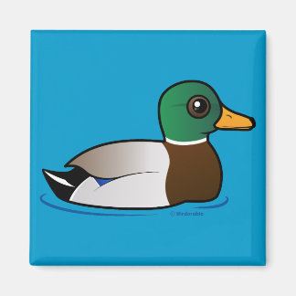 Imán Cute Mallard Male