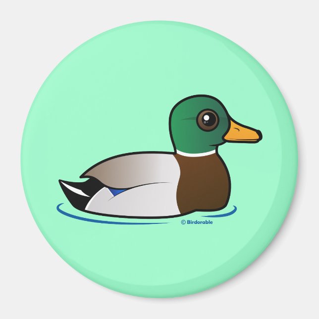 Imán Cute Mallard Male (Frente)