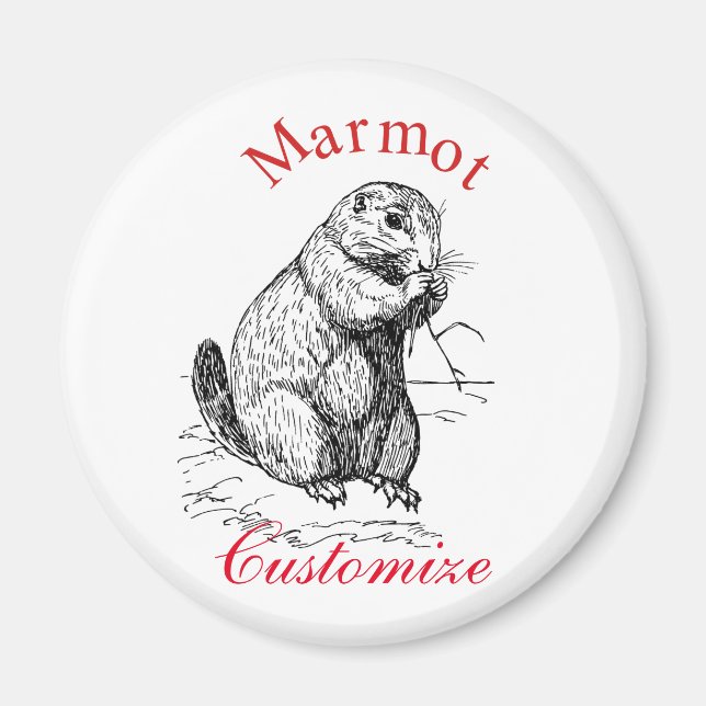 Imán Cute Marmot Animal Thunder_Cove (Frente)