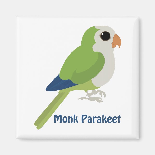 Imán Cute Monk Parakeet (Frente)
