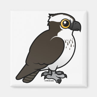 Imán Cute Osprey