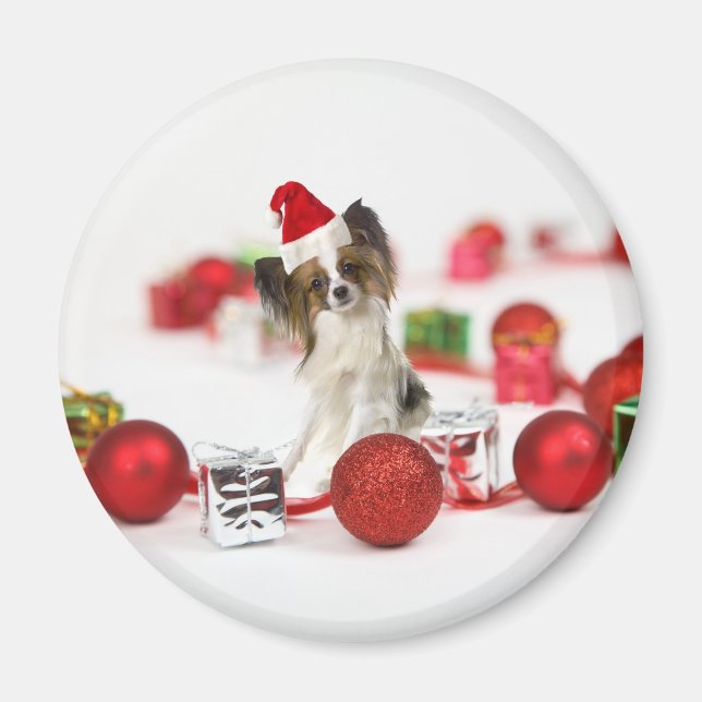 Imán Cute Papillon Dog Navidades Santa Hat (Frente)