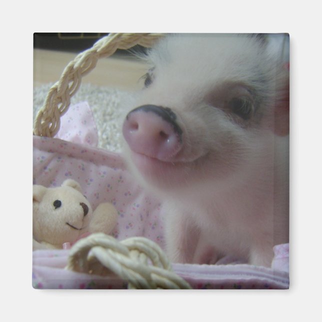 Imán Cute Piglet (Frente)