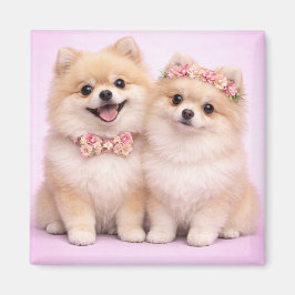 Imán Cute Pomeranian Couple Valentine Illustration 