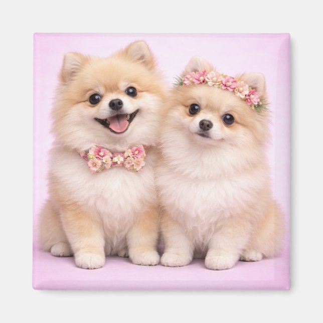Imán Cute Pomeranian Couple Valentine Illustration  (Frente)