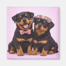 Imán Cute Rottweiler Couple Valentine Illustration