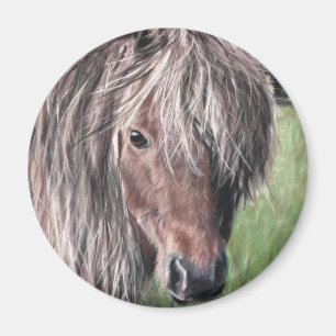 Imán Cute Shetland Pony