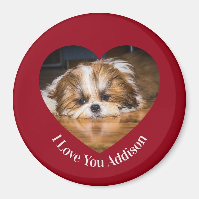 Imán Cute shih tzu love Valentine heart photo (Frente)