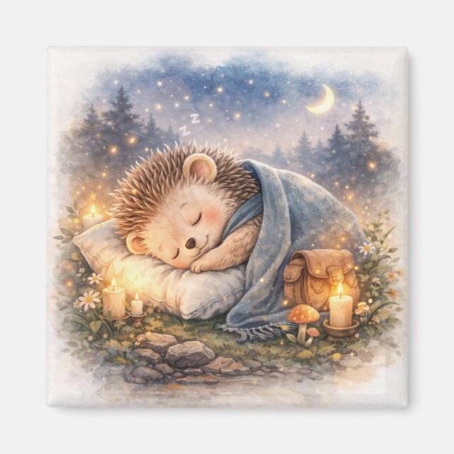 Imán Cute Sleeping Hedgehog  Fridge (Frente)