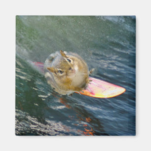 Imán Cute Surfing Chipmunk
