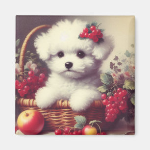 Imán Cute vintage Bichon Frisé Pintura