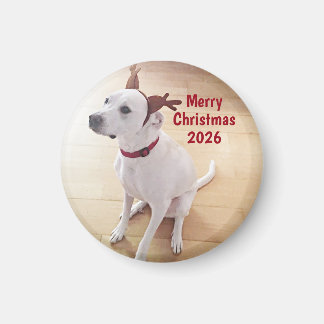 Imán Cute White Reindeer Dog Photo Merry Christmas