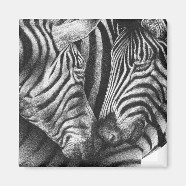 Imán Cute Zebra Magnet (Frente)