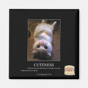 Imán Cuteness