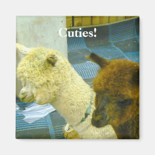 Imán ¡Cuties!